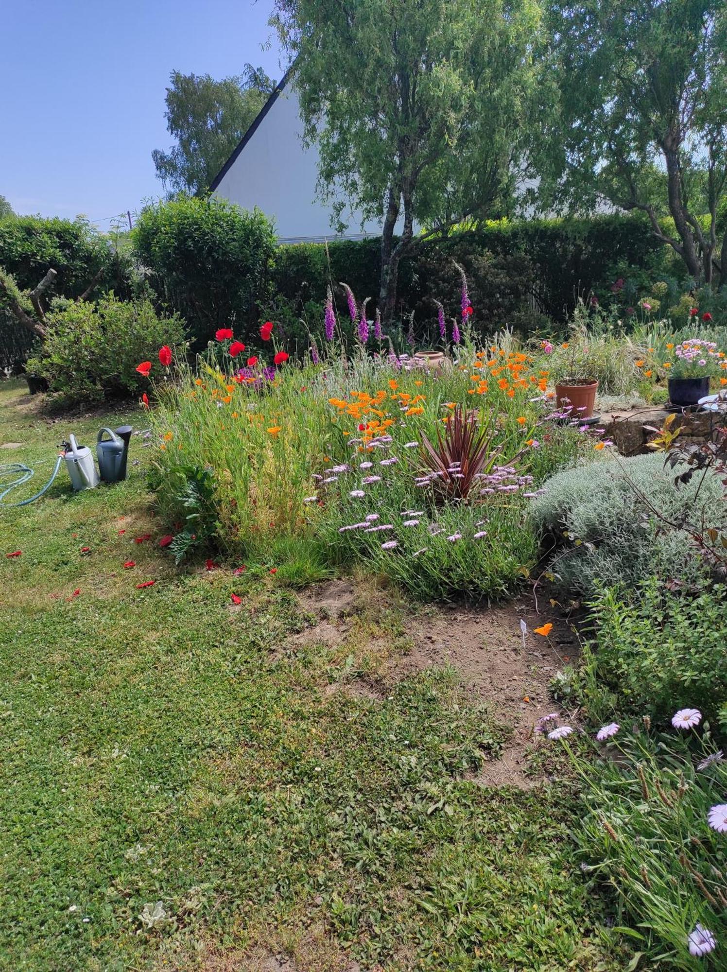 Grand Studio Duplex Avec Jardin La Trinite-sur-Mer Exterior photo